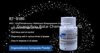 Zusammengesetzter beschichtender glatter Oberflächeneffekt Silikon-Pulver Methicone Silsesquioxane Crosspolymer